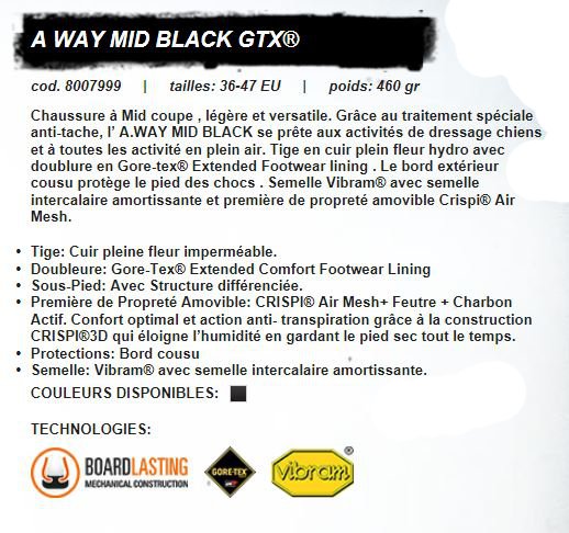 CRISPI AWAY GTX LEATHER NOIR T36
